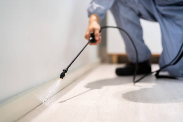 Licensed Pest Control service in St. Johns, MI - Show Me Pest Control