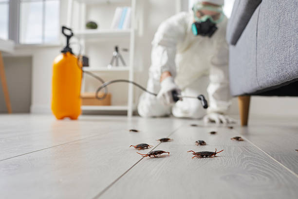 Commercial Kitchen Cockroach Control in St. Johns
